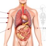 hypotermia